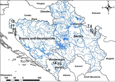 Alternative Life-History in Native Trout (Salmo spp.) Suppresses the Invasive Effect of Alien Trout Strains Introduced Into Streams in the Western Part of the Balkans